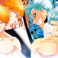 Ichigo & Grimmjow