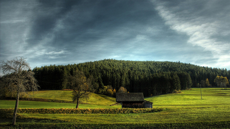 Beautiful Landscape - green, field, house, grass