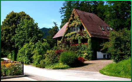 House. - house, path, hedge, driveway, flower, tree, sky