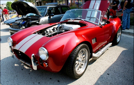 Shelby Cobra - cobra, shelby, snake, ac