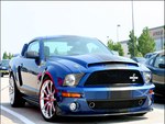 Mustang Cobra