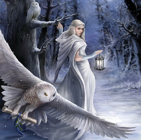 Midnight messenger - winter, white owls, girl, beauty, princess, night, forest, messenger