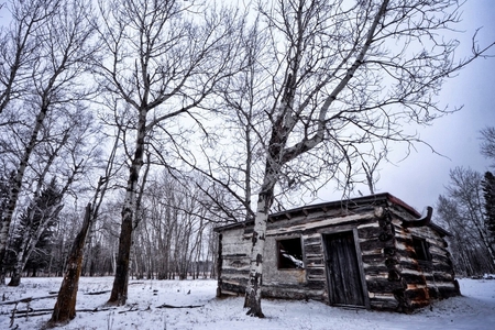 Cottage In Winter - beautiful, tree, cottage, winter