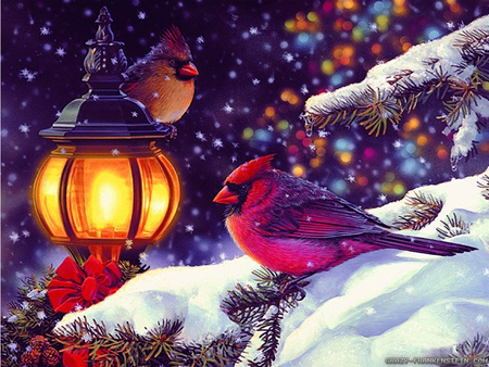 bird-scene-winter-holidays - birds, winter, snow, colors, lamp, stars, christmas, december, nature, sky