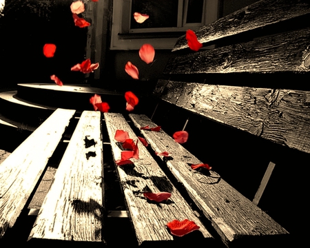 Rose Petals - roses, nice, petals, photography