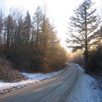 Forest Road