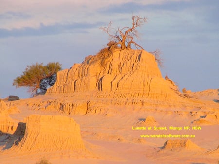 NATURES BEAUTY - sand, hill, tree, beauty