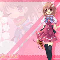 Flyable Heart