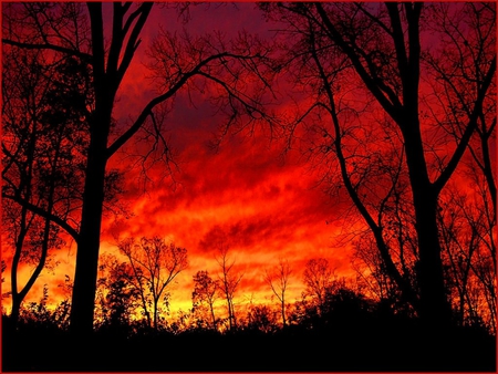 burning sunset - nature, churchill woods, sunset, forest