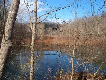 Land Between the Lakes - fall, trees, water, nature, autumn, lake, tree, sky blue