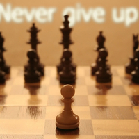 Never Give Up