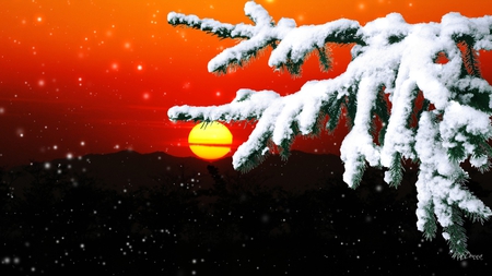 Sunset Snow - winter, sky, snowing, firefox persona, tree, ice, sunset, snow, cold