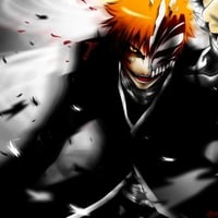 Bleach Ichigo Hollow