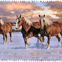 Winter Gold - Horses F2