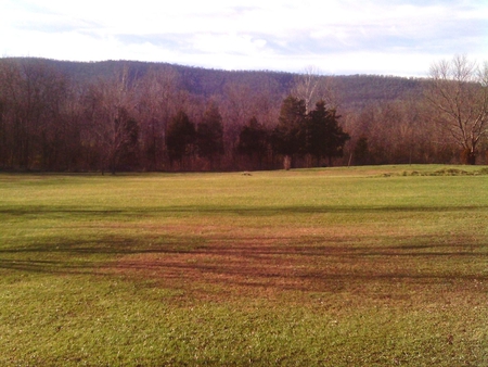 Green fields and Blue Mountains - trees, blue, green, grass, mountains