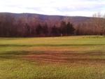 Green fields and Blue Mountains