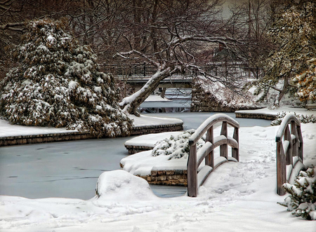 Winter Wonder - trees, beautiful, snow, winter, bridge, pond