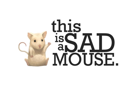 Make Him Happy - white, mouse, furry, sad