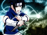 SASukE