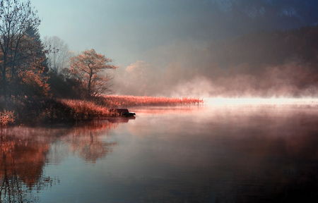 into the mystic - trees, fog, photography, morning, scary, misty, spooky, nature, mist, lake