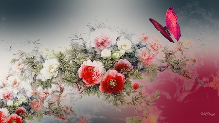 Shaded Floral Retreat - summer, transparent, butterfly, floral, pink, blue, oriental, flowers, firefox persona