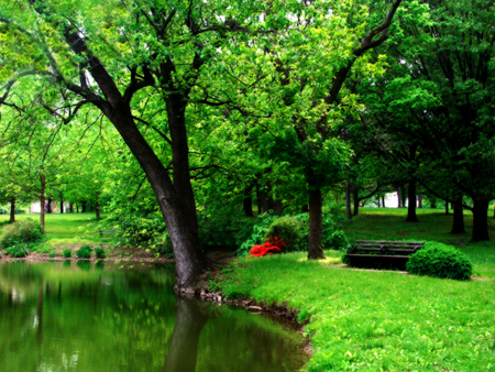 Spring day - lake, trees, park, summer, spring, nature, reflection, green, pond, grass, shadow