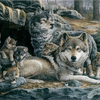 Wolves