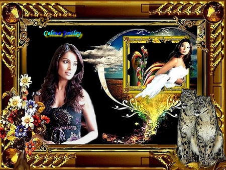 CELINA JAITLEY - flowers, people, 2012, frame, celina jaitley, actresses, color