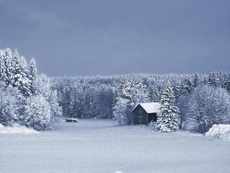 Blue Winter House - sky, house, trees, snow