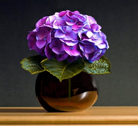 Hydrangea in vase. - vase, petal, purple, leaf, flower, hydrangea, plant, still life