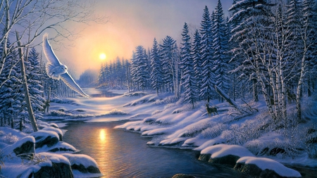 Winter Sunlight - trees, sunlight, winter, deer, bird, fir, reflection, river, snow, owl