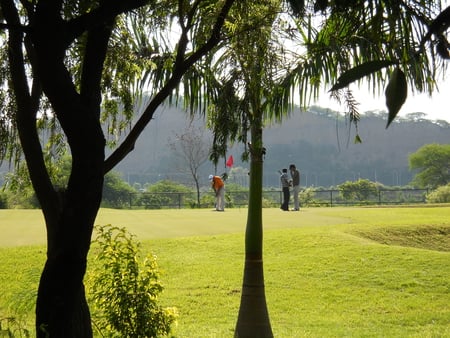 12th Par5 - hill, green, trees, golfers