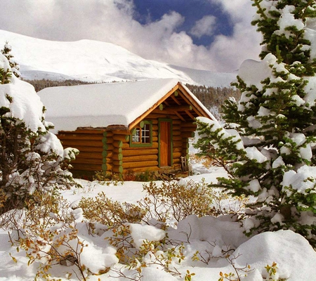 Covered in Snow - heavy, snow, beautiful, wooden, winter, tree, house