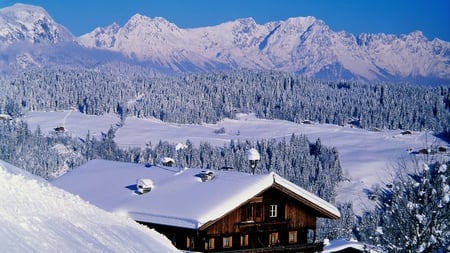 snowed in - nature, trees, photography, snow, winter, mountains