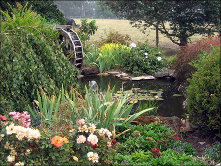 WEDDING VENUE - water, wheel, beautiful, garden