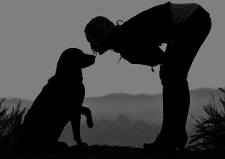 INSEPARABLE - woman, love, silhouette, dog, photography, bw, friendship, friend