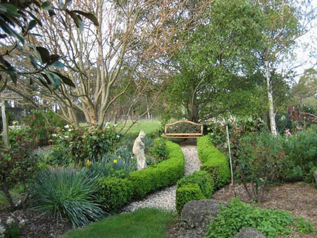 GARDEN PATH - hedge, plants, trees, pretty