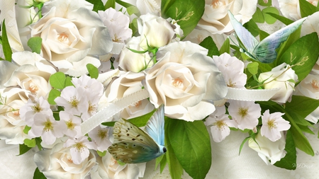 White Roses and Butterflies - summer, wedding, flowers, apple blossoms, white, ribbon, butterflies, roses, regal