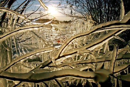 Ice in central Florida