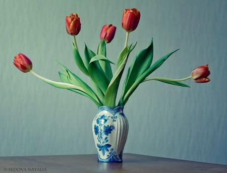 Christmas Tulips for JACQELINEla - tulips, flowers, still life, christmas