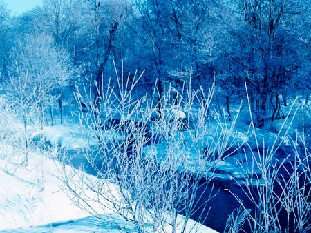 Winter River - river, trees, winter, nature, snow, scene