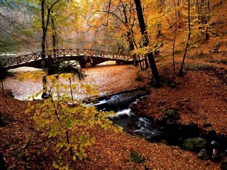 	autumn-waters - waters, leaves, autumn, bridge