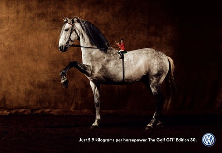 Andalusian Horse Funny Advertisement - andalusian horse, horses, advertisement, golf, spanish horse, animals