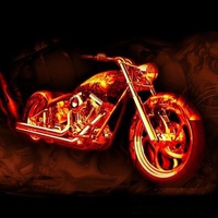 harley-davidson custom