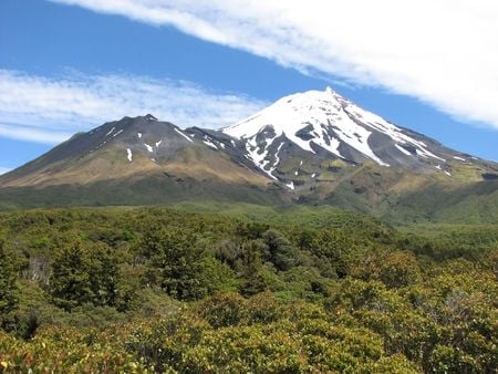 mount taranki ,nz - snow, native bush