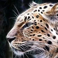 Leopard Art by TitusBoy