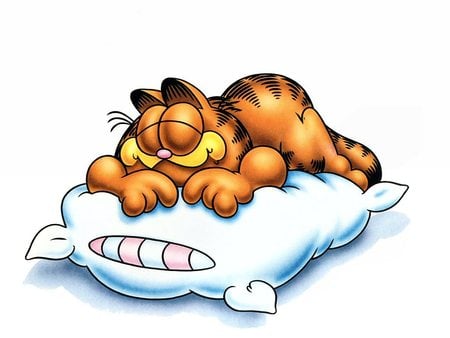 garfield sleepy - abstract, cat, cartoon collection, kitty, animals, other