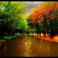 the park in the autumn rain