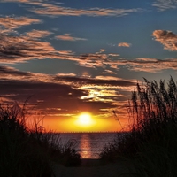 Dunes of Virginia Beach