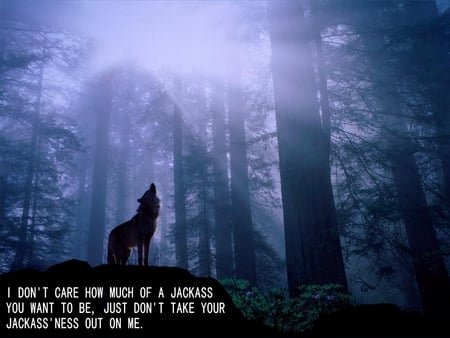 Go Ahead Be A Jackass - wolf, howling wolf, wolves, wolfywebguy